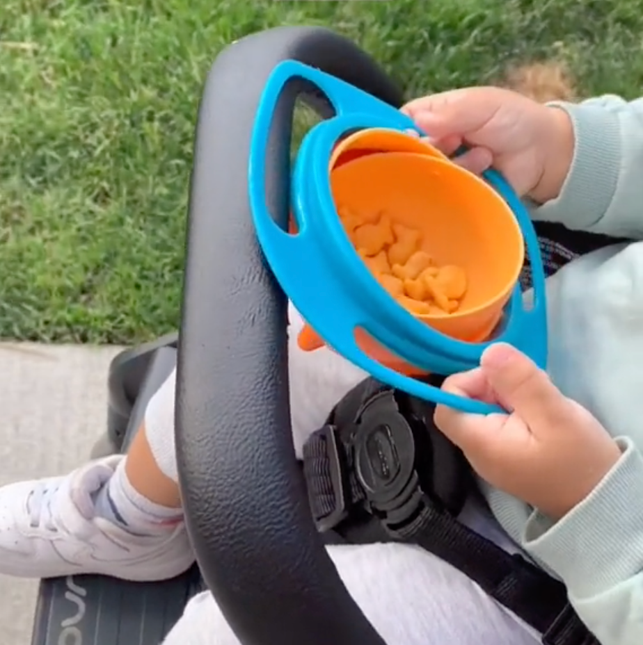 SpinSafe™ Spill Proof Bowl